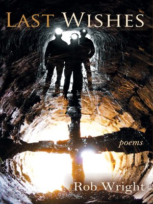 cover image of Last Wishes